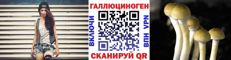 Галлюциногенные грибы Psilocybine cubensis  где купить   Кузнецк 