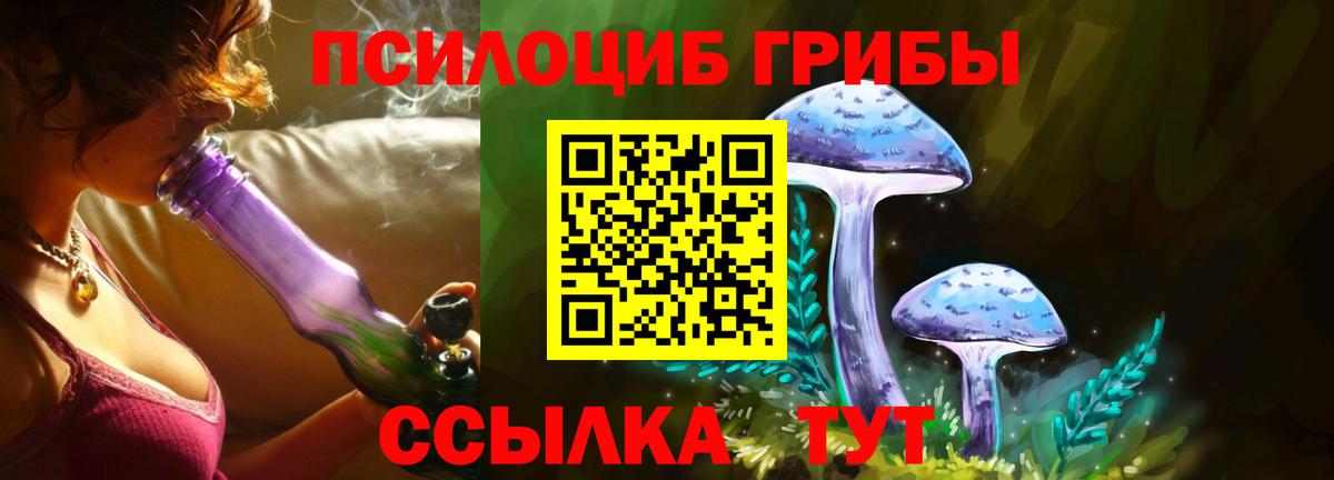 Псилоцибиновые грибы ЛСД  Псилоцибиновые грибы GOLDEN TEACHER  Вход с VPN  Кузнецк 