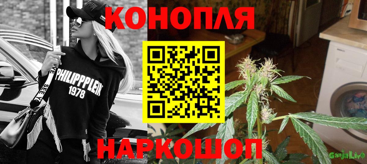 Бошки Шишки MAZAR Кузнецк